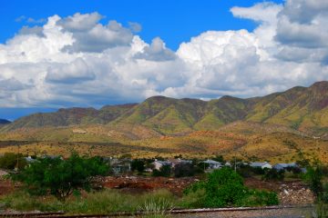 DSC_0028 DSC_0028